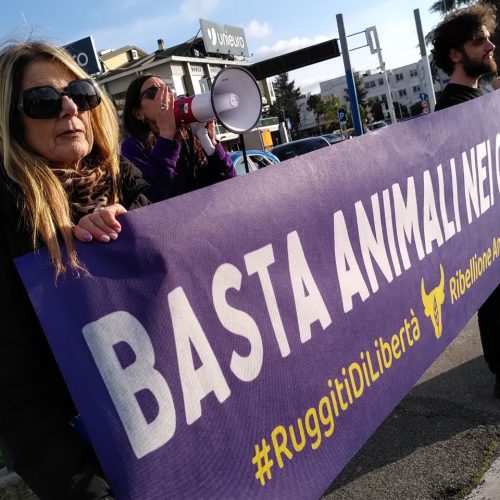 RUGGITI DI LIBERTÀ